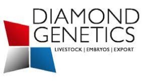 Diamond Genetics logo